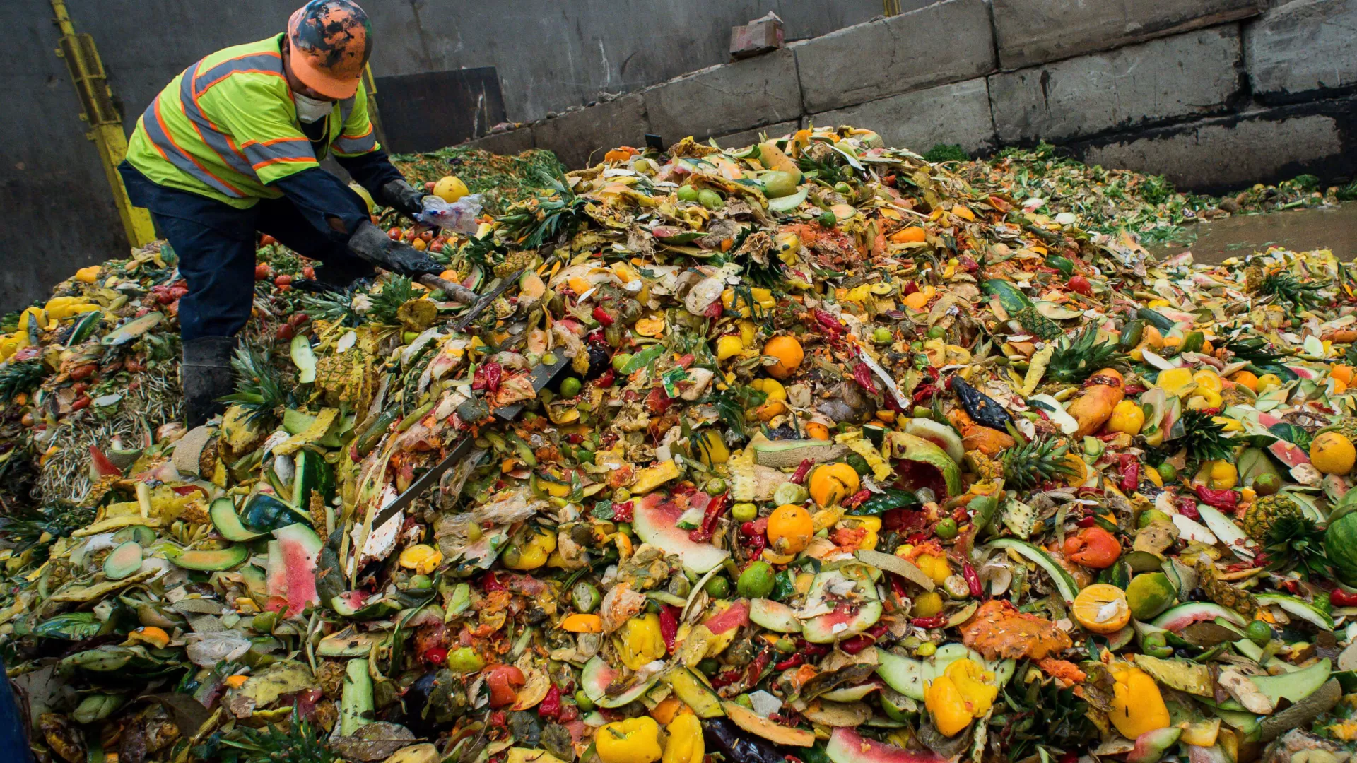 Food Waste Visualization